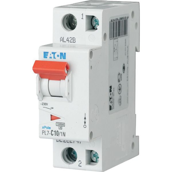 PL7-B10/1N Miniature circuit breaker (MCB), 10 A, 1p+N, characteristic: B image 2