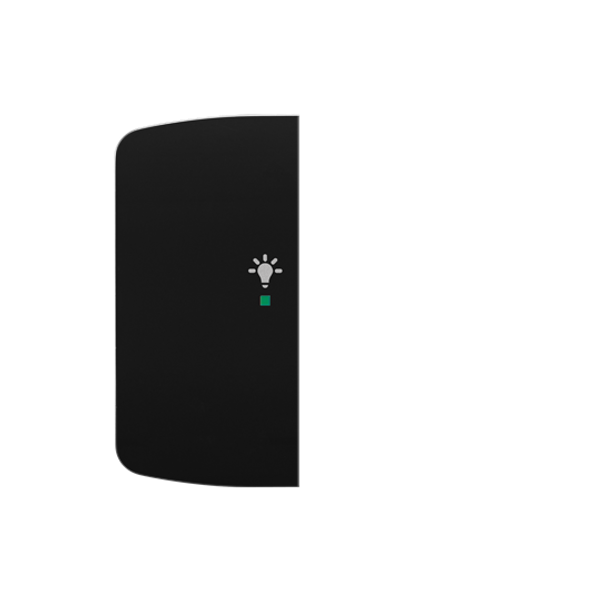 Rocker, 2gang left, with “Light” icon image 1