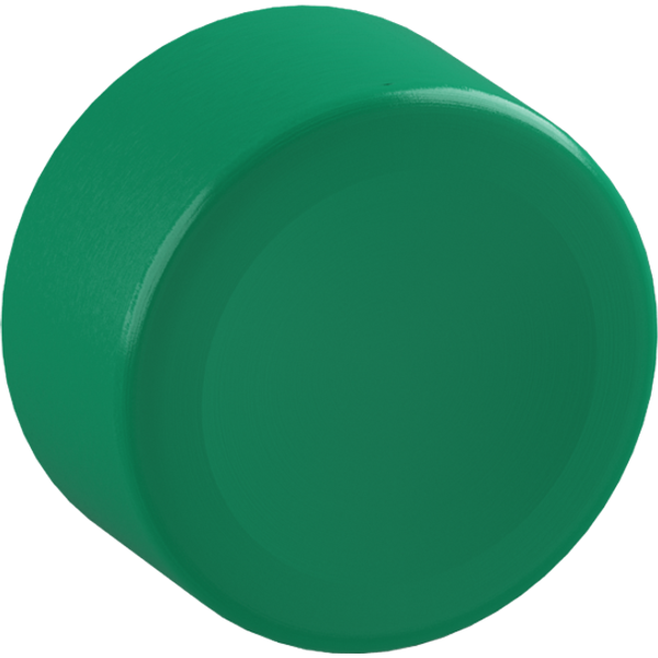 080CPV Protection cap image 4