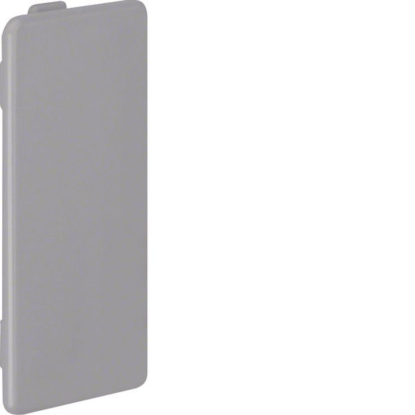 End cap,LKG37075,grey image 1