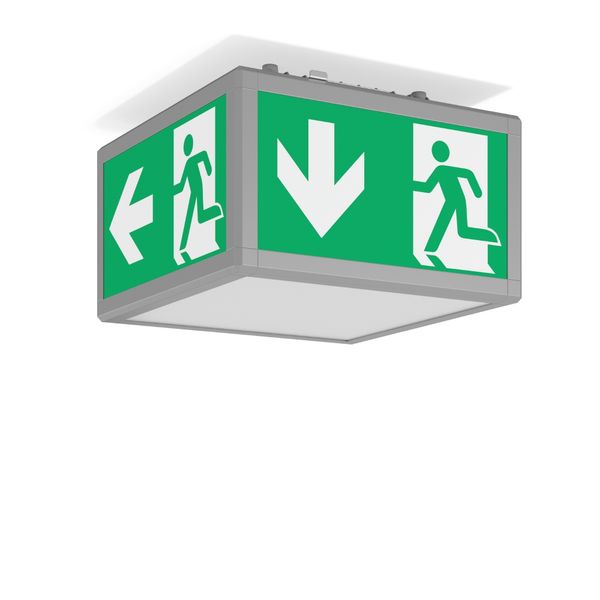 SIGNCUBE IP54, 9,8 W, aluminium, on/off Ceiling luminaires, L 351 B 35 image 2