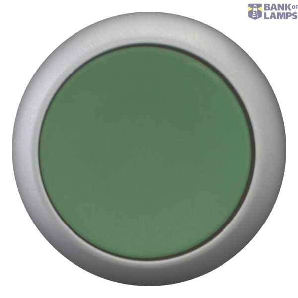 Pushbutton, flat, momentary, 1 N/O, green, Screw connection, Bezel: ti image 8