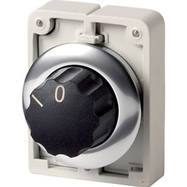 M30C-FWR Changeover switch, RMQ-Titan, With rotary head, maintained, 2 positions, inscribed, Metal bezel image 2