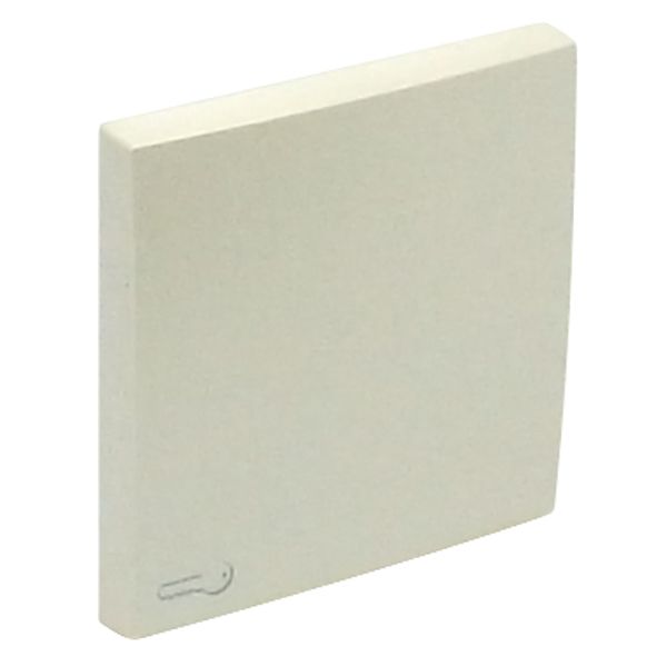 ROCKER F/SWITCHES W/LOCK SYMBOL PEARL image 2