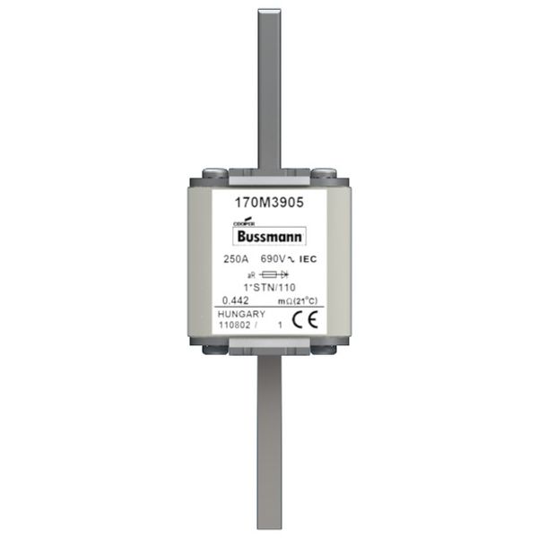 Fuse-link, high speed, 250 A, AC 690 V, compact size 1, 43 x 59 x 141 mm, aR, DIN, IEC, visual indicator image 2
