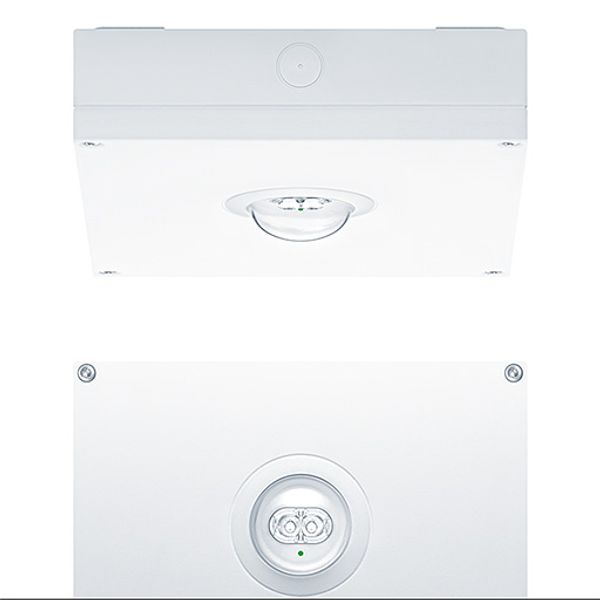 RESCLITE PRO MSC SPOT E8D WH IP65 - Safety luminaire image 1