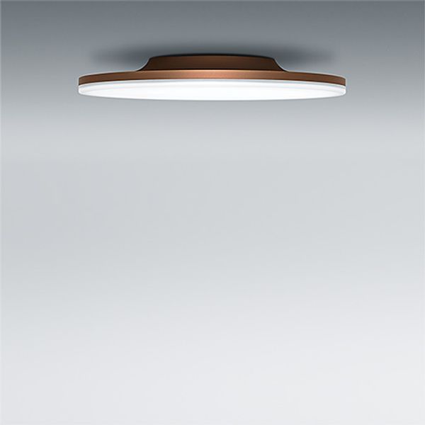 CAELA RLS LED2400-930 OP SM WH - LED wall and ceiling luminaire image 2