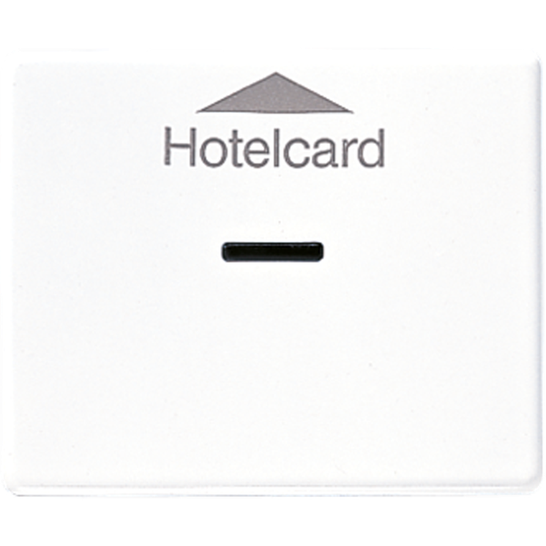 Afdekking SL500 alp.wit Hotelcard-schak image 1