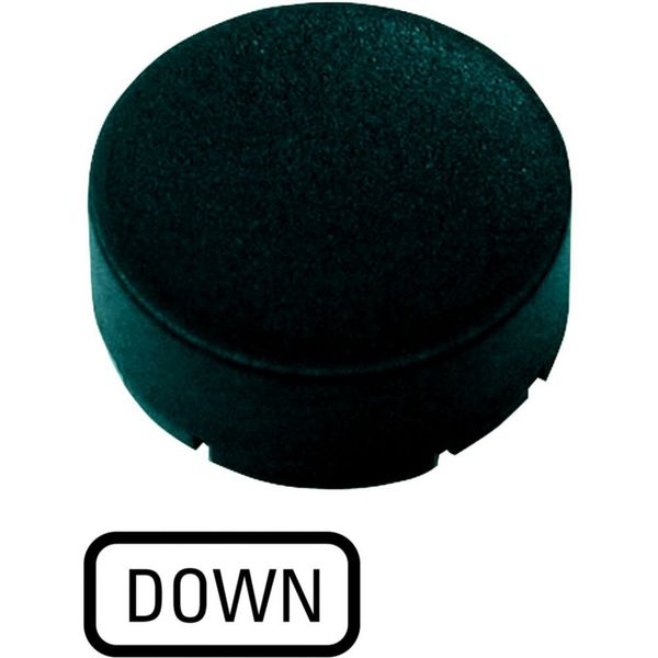 M22-XDH-S-GB4 Button plate, raised black, DOWN image 6