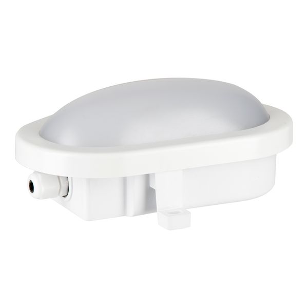 LED Bulkhead Basic 6W 3000K White Oval image 2