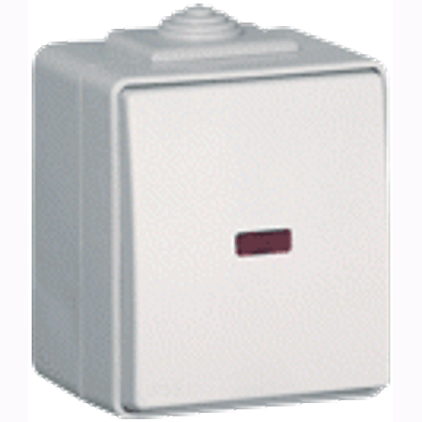 SINGLE POLE SWITCH WITH ORIENTING LIGHT image 1