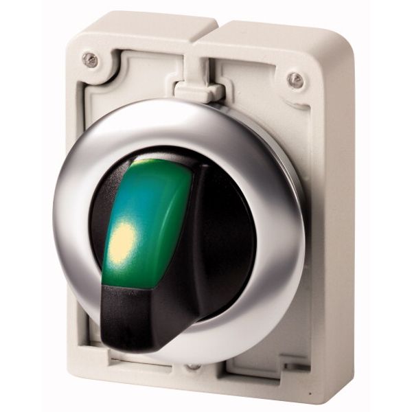 M30I-FWLK-G Illuminated selector switch actuator, RMQ-Titan, with thumb-grip, momentary, 2 positions, green, Front ring stainless steel image 1
