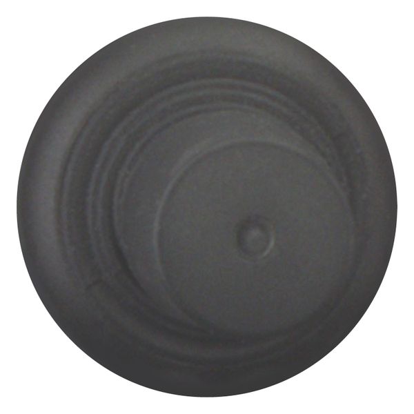 M22S-WRJ4 Joystick, with one operating point per operating direction, With plastic shaft, 4 positions, Bezel: black, maintained image 5