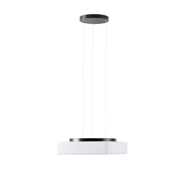 LED-1L16C07ZLE11/139/L100 C DALI 4000 image 1