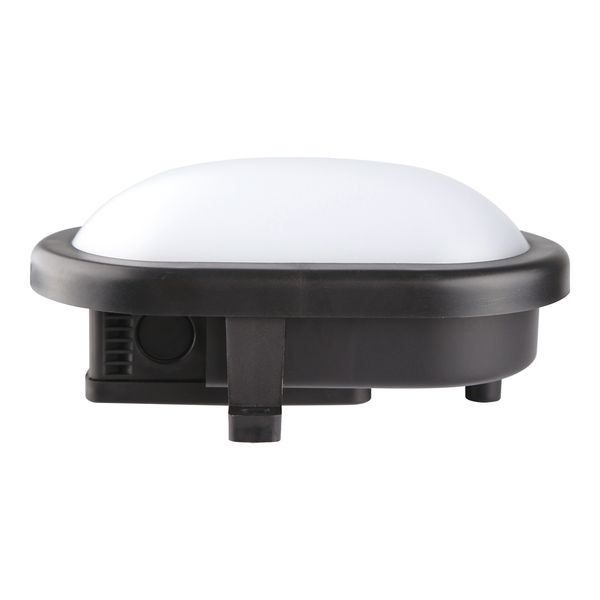 LED Bulkhead Basic 12W 3000K Black Oval image 2