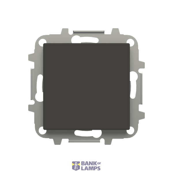 Blank plate image 1