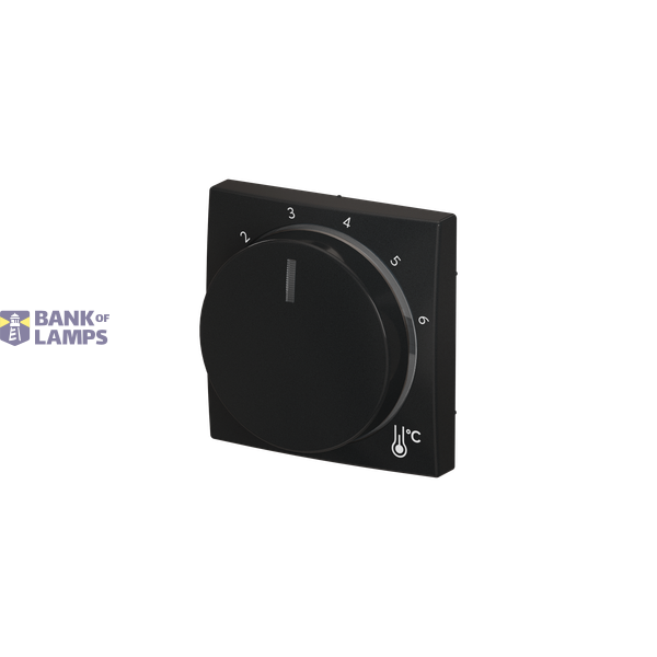 c-plate temp. round image 2