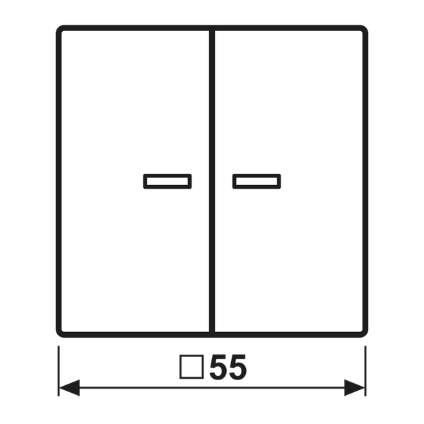 LB Management push-button 2-gang A1702BFANM image 14
