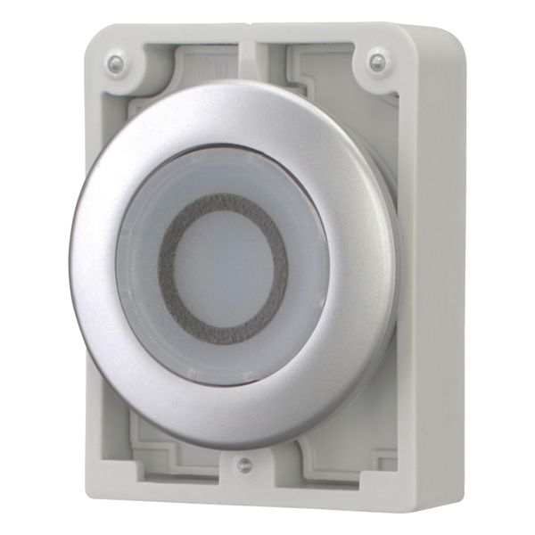 M30C-FDRL-W-X0 Illuminated pushbutton actuator, RMQ-Titan, Flat, maintained, White, inscribed 0, Metal bezel image 9