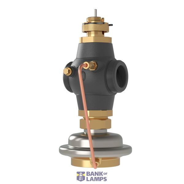 AVQM, PN 25, DN 50, Flow rate [m³/h]: 0.80 - 12.00, External Thread, G 2 1/2 A, Mounting version: Free image 1