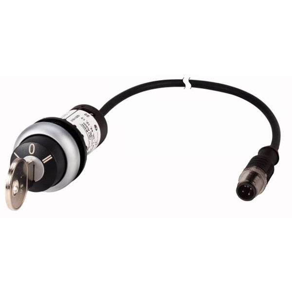 C22-WRS3-MS1-K20-P5 Key-operated actuator, RMQ compact solution, maintained, 2 N/O, Cable (black) with M12A plug, 4 pole, 1 m, 3 positions, MS1, Bezel: titanium image 1