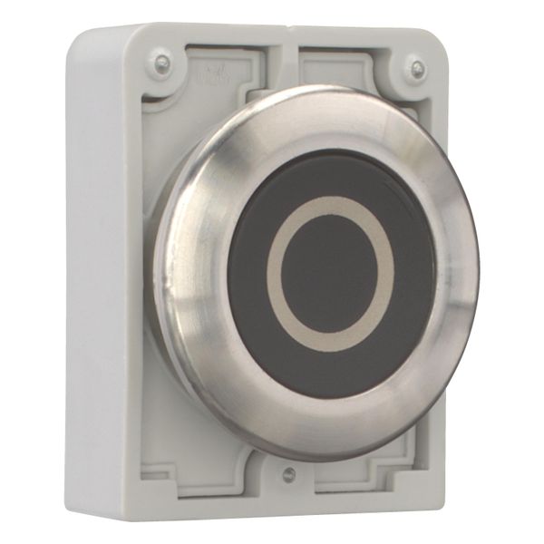 M30I-FD-S-X0 Pushbutton, RMQ-Titan, flat, momentary, black, inscribed, Front ring stainless steel image 8