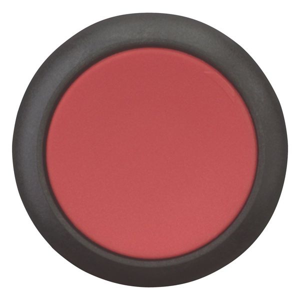 Pushbutton, Flat, maintained, 1 NC, 1 N/O, Screw connection, red, Blank, Bezel: black image 9