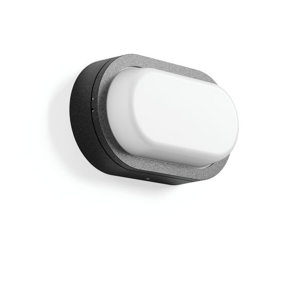 Alu-Lux oval, 8 W, 540 lm, 840, anthracite, Phase-cut Ceiling and wall image 2