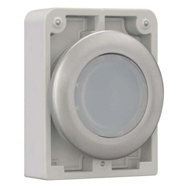 M30C-FDRL-W Illuminated pushbutton actuator, RMQ-Titan, Flat, maintained, White, Blank, Metal bezel image 13