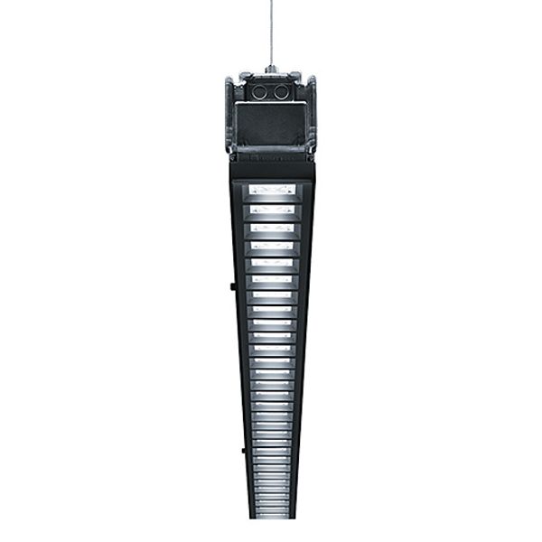 TECTON MIREL LED7400-830 L2000 LDO BK - LED pendant luminaire image 1