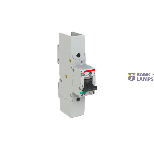 S801P-D100-R circuit breaker image 2