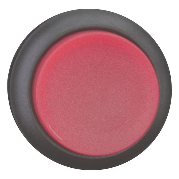 M22S-DRLH-R Illuminated pushbutton actuator, RMQ-Titan, Extended, maintained, red, Blank, Bezel: black image 4