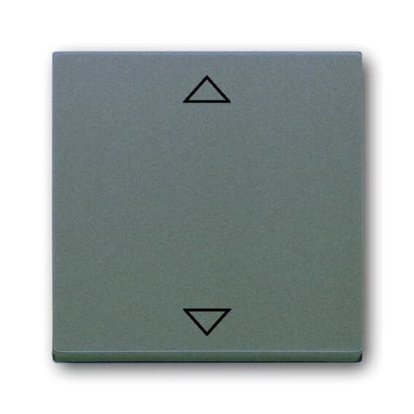Busch-Timer®, Control elements impuls, Cover plate for Comfort Blind insert, ivory image 1