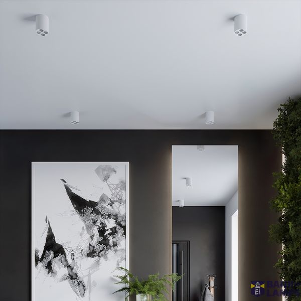 Ceiling lamp ZOE white LED image 8