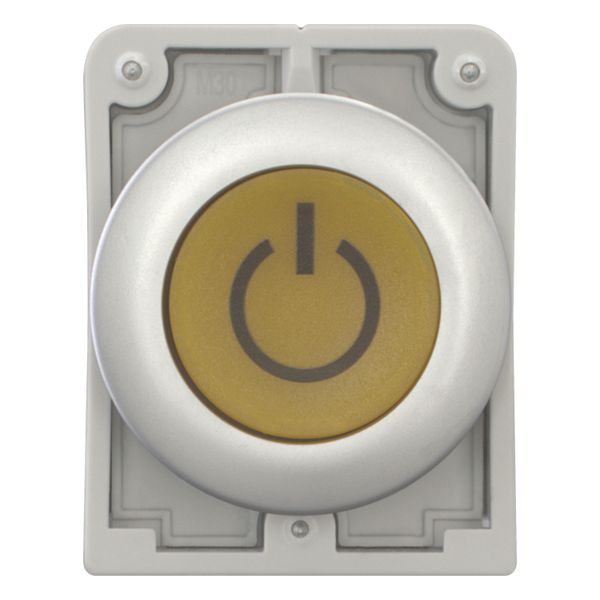 M30C-FDL-Y-X162 Illuminated pushbutton actuator, RMQ-Titan, Flat, momentary, yellow, inscribed, Metal bezel image 5