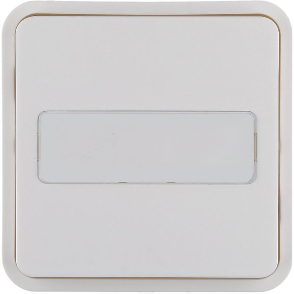 Rocker 1gang for W.1 push-button BCU, with labelling field, polar whit image 2