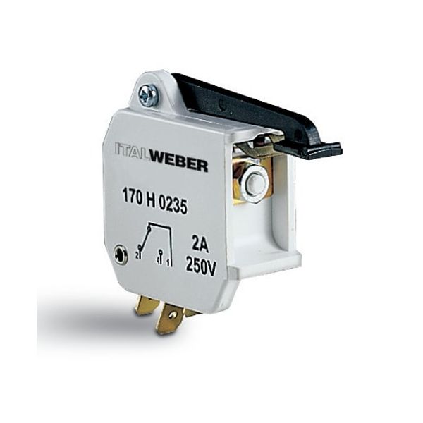 Microswitch: 170H0235 250V 2A image 1