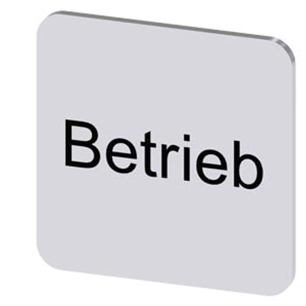 Labeling plate 22x22 mm, silver-colored label, labeling: Betrieb image 1
