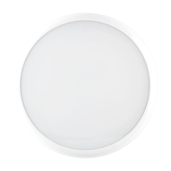 CLY 15 S/EW 830/40 WIT image 2