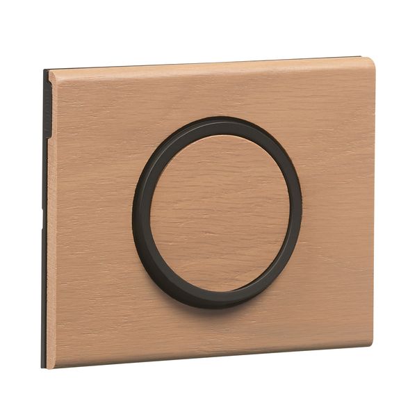 RING 2 WAY SWITCH INDICATOR image 5