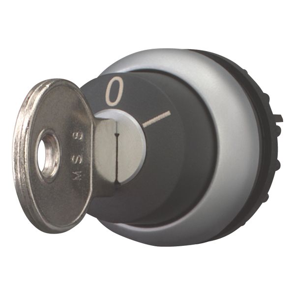 M22-WRS-MS8 Key-operated actuator, maintained, 2 positions, MS8, Key withdrawable: 0, I, Bezel: titanium image 2