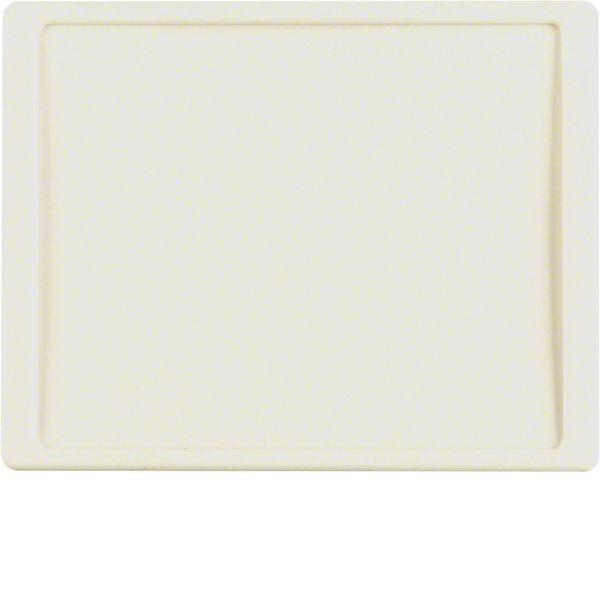 Centre plate for nurse call system, arsys, white glossy image 1