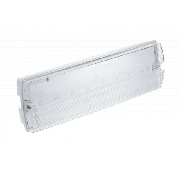Emergency LED luminaire TERNO, 3 W, 250 lm, 6400K, AC220-240V, IP65, 3 hours, dual-mode, TEST button image 1