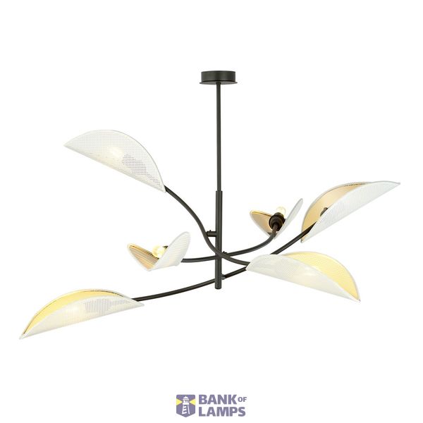 LOTUS 6 WHITE/GOLD image 1