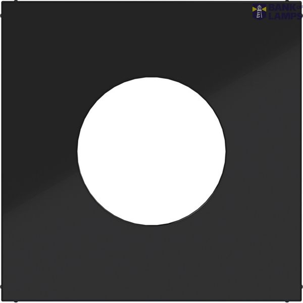 Central plate for push button/light signal E10, A.x/C.x, night black glass image 1