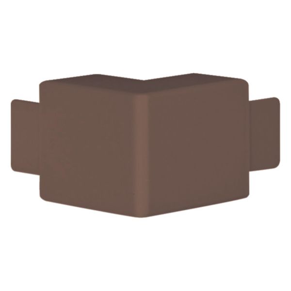 outer corner brown image 1