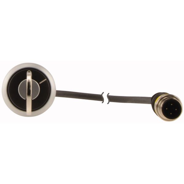 C22-WS-MS1-K10-P1 Key-operated actuator, RMQ compact solution, momentary, 1 N/O, Cable (black) with M12A plug, 4 pole, 0.2 m, 2 positions, MS1, Bezel: titanium image 2