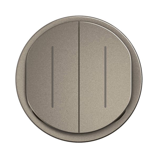 DOUBLE SWITCH INDICATOR CELIANE TITANIUM image 4