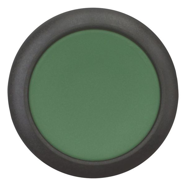 Pushbutton, Flat, maintained, 1 NC, 1 N/O, Screw connection, green, Blank, Bezel: black image 9