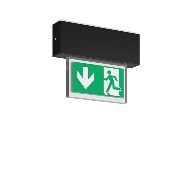 HALYXX, 4,7 W, black, on/off Ceiling luminaires, L 233 B 40 H 184, CBS image 1